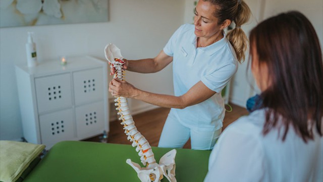 Therapeutin erklärt Wirbelsäulenmodell